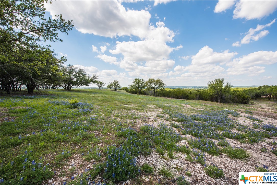 TBD County Road 1120 (+/- 95 Acres), Meridian, Texas image 4