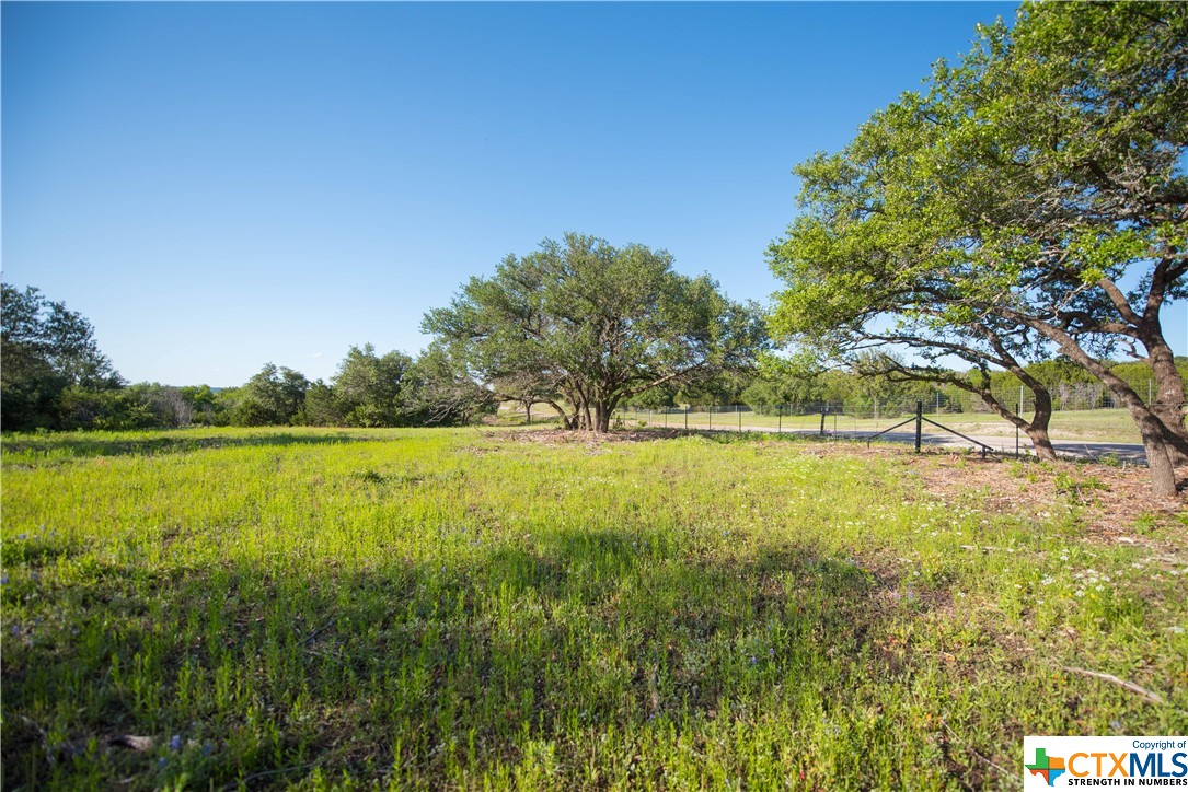 TBD County Road 1120 (+/- 95 Acres), Meridian, Texas image 7