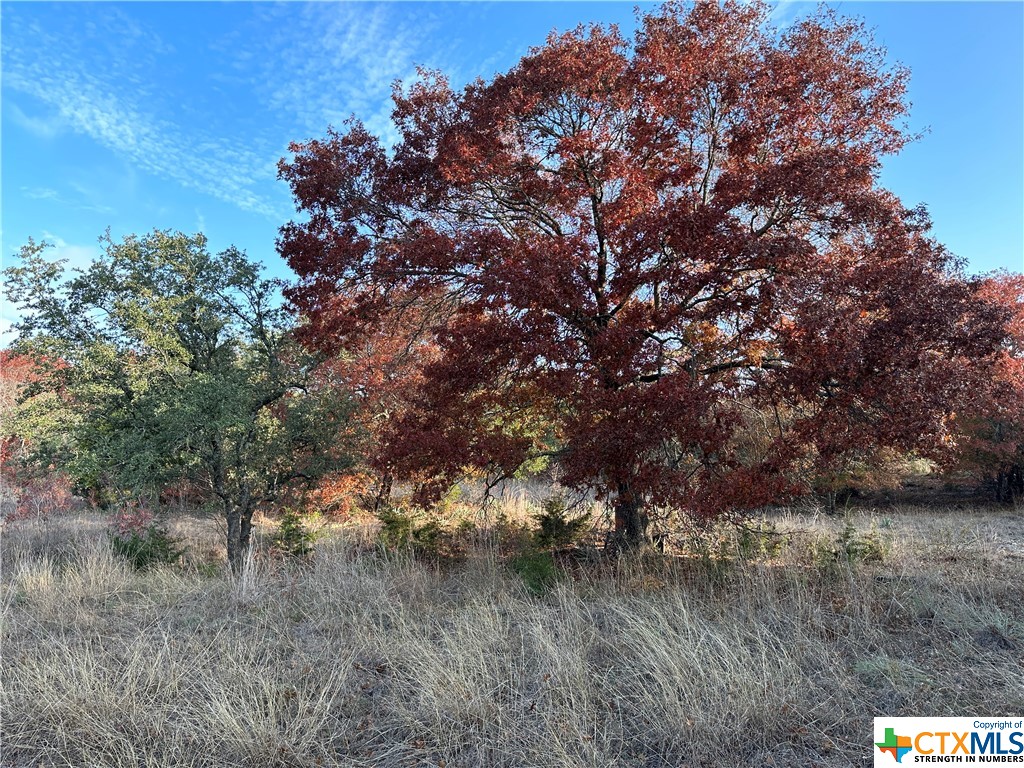 Beautiful wooded homesite! 
Elevation, mature trees, and frontage along CR 334 and St Hwy 36. 
1.2ac tract includes water meter with an acceptable contract, electric service at the street and ready to go.
Minimal restrictions, allows manufactured, site built, or tiny homes. 
Located in Flat, about halfway between Temple and Gatesville.