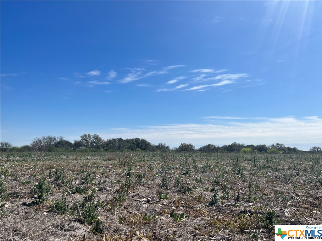 TRACT W County Road 512 & Cr 411, D'Hanis, TX 78850