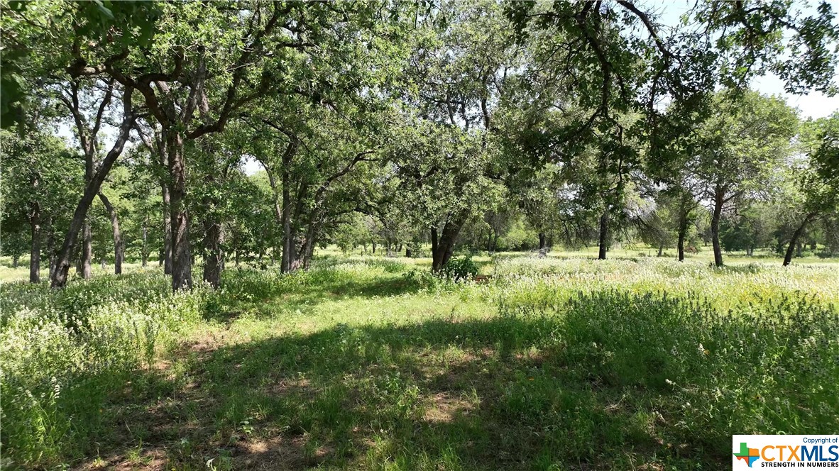 1820 Jeddo Road, Rosanky, Texas image 15
