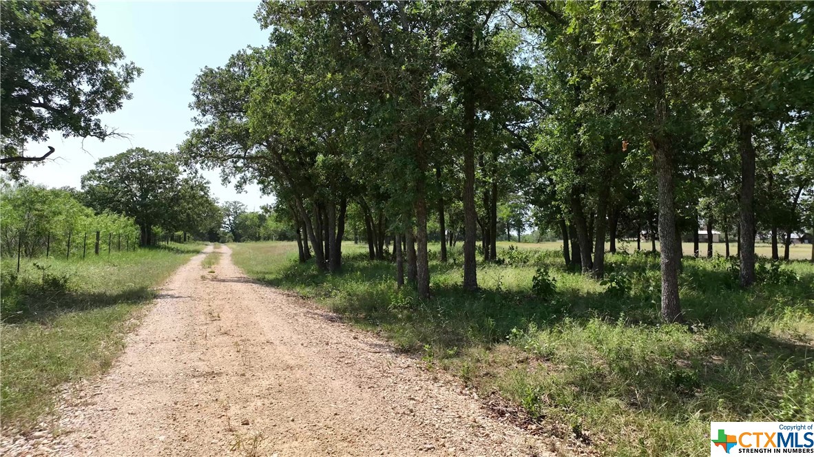 1820 Jeddo Road, Rosanky, Texas image 4