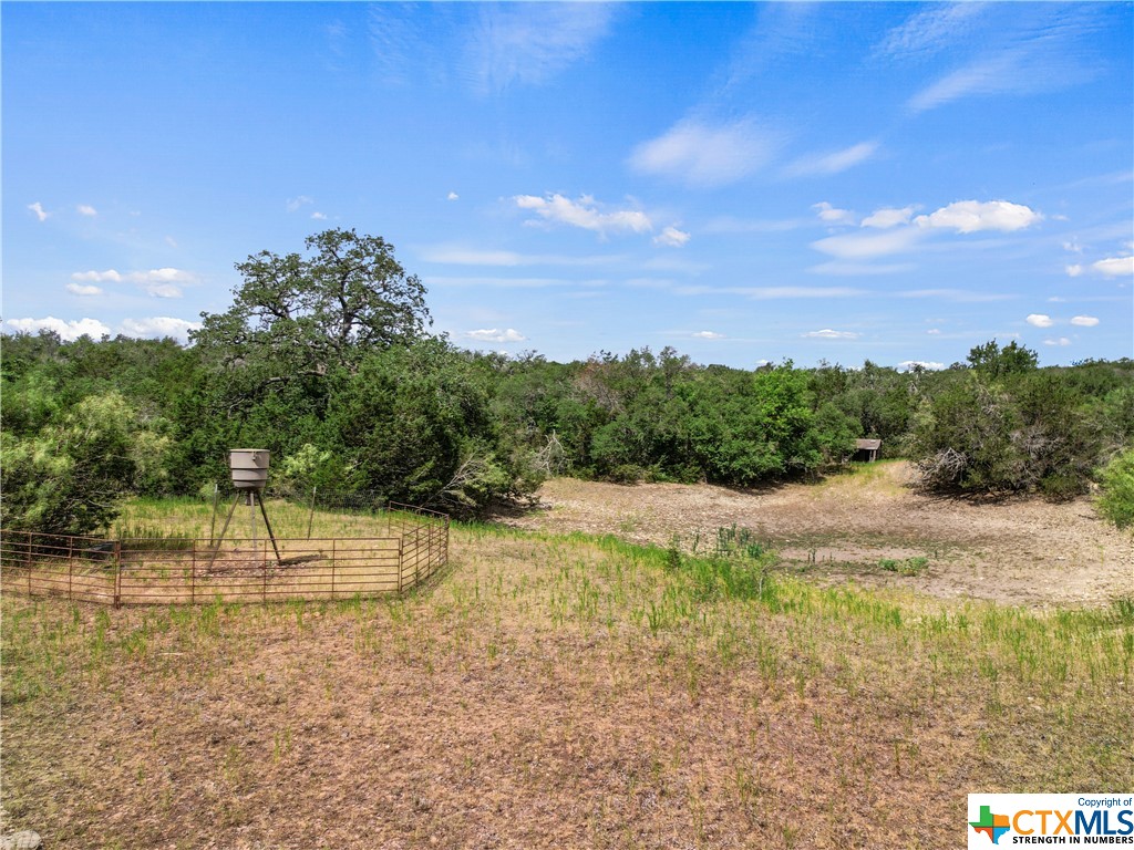 13901 Ranch Road 2338, Georgetown, Texas image 8