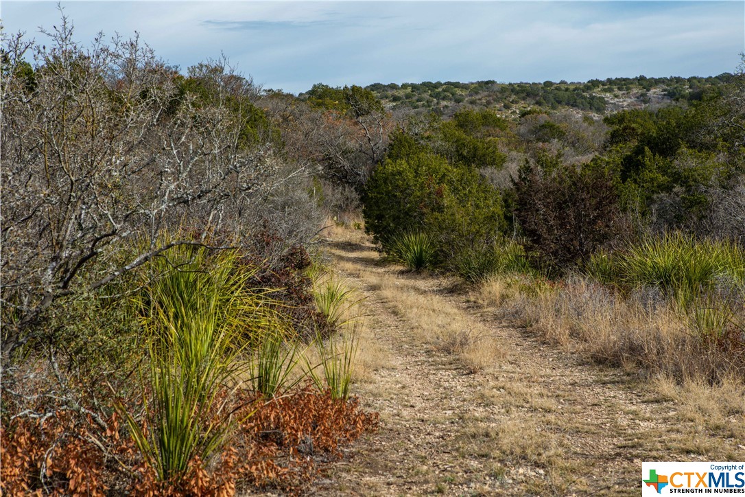 000 J S Murry Ranch Road, Del Rio, Texas image 11