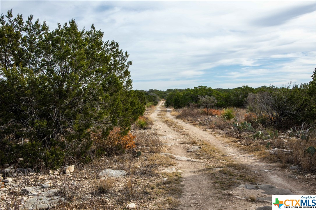 000 J S Murry Ranch Road, Del Rio, Texas image 17