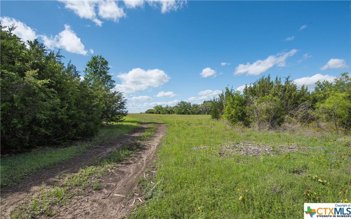 TBD County Road 1120 (+/- 110 Acres), Meridian, Texas image 10