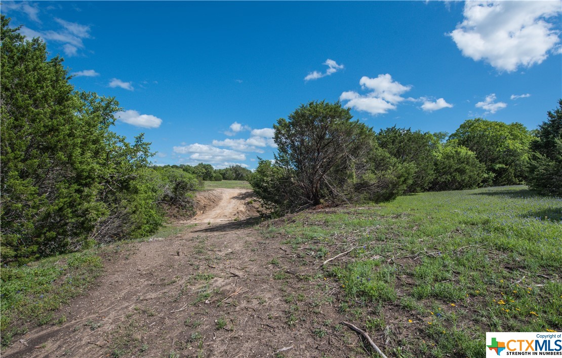 TBD County Road 1120 (+/- 110 Acres), Meridian, Texas image 11