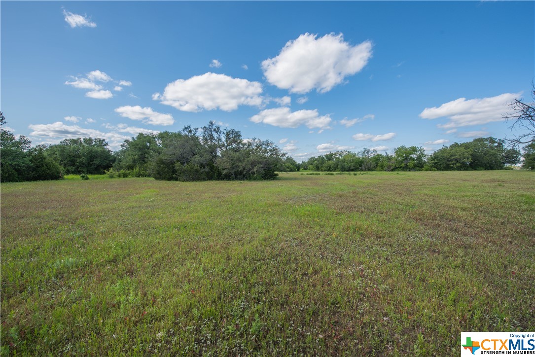 TBD County Road 1120 (+/- 110 Acres), Meridian, Texas image 15