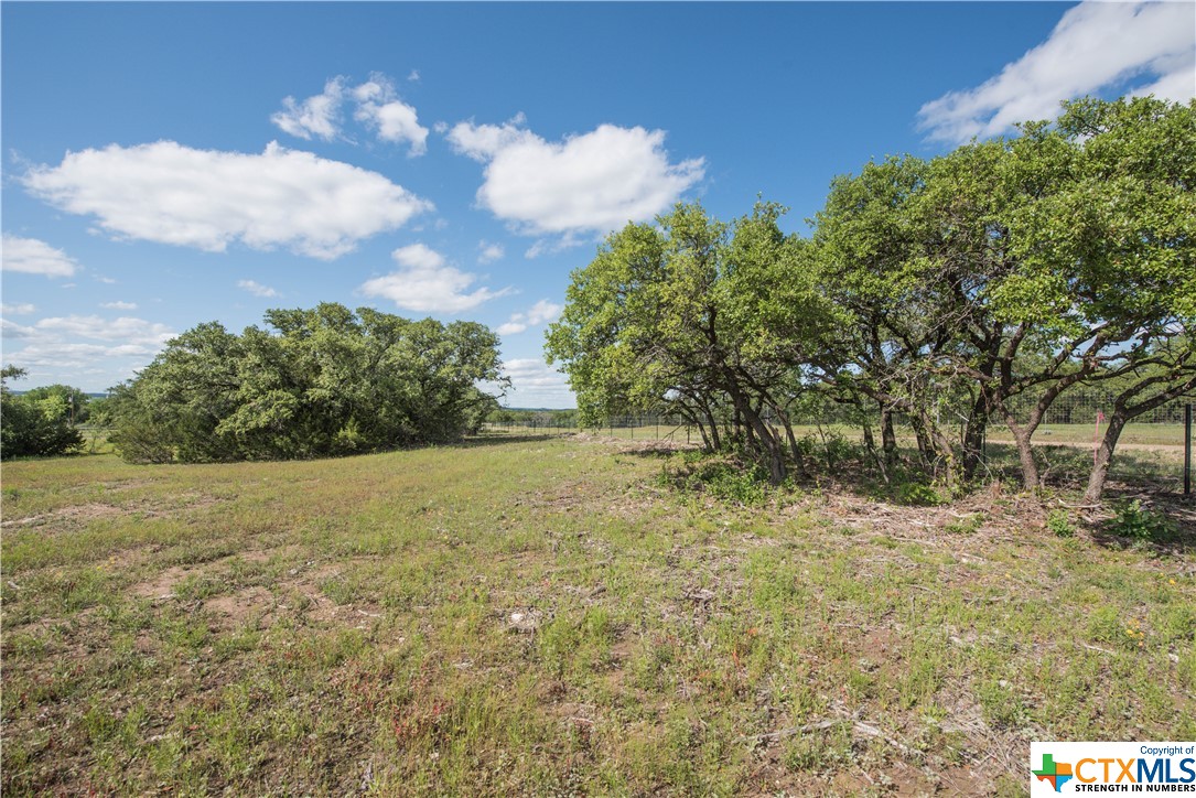TBD County Road 1120 (+/- 110 Acres), Meridian, Texas image 17