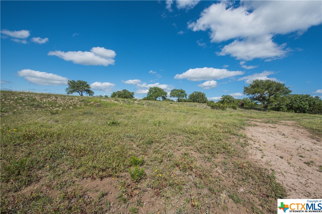 TBD County Road 1120 (+/- 110 Acres), Meridian, Texas image 3