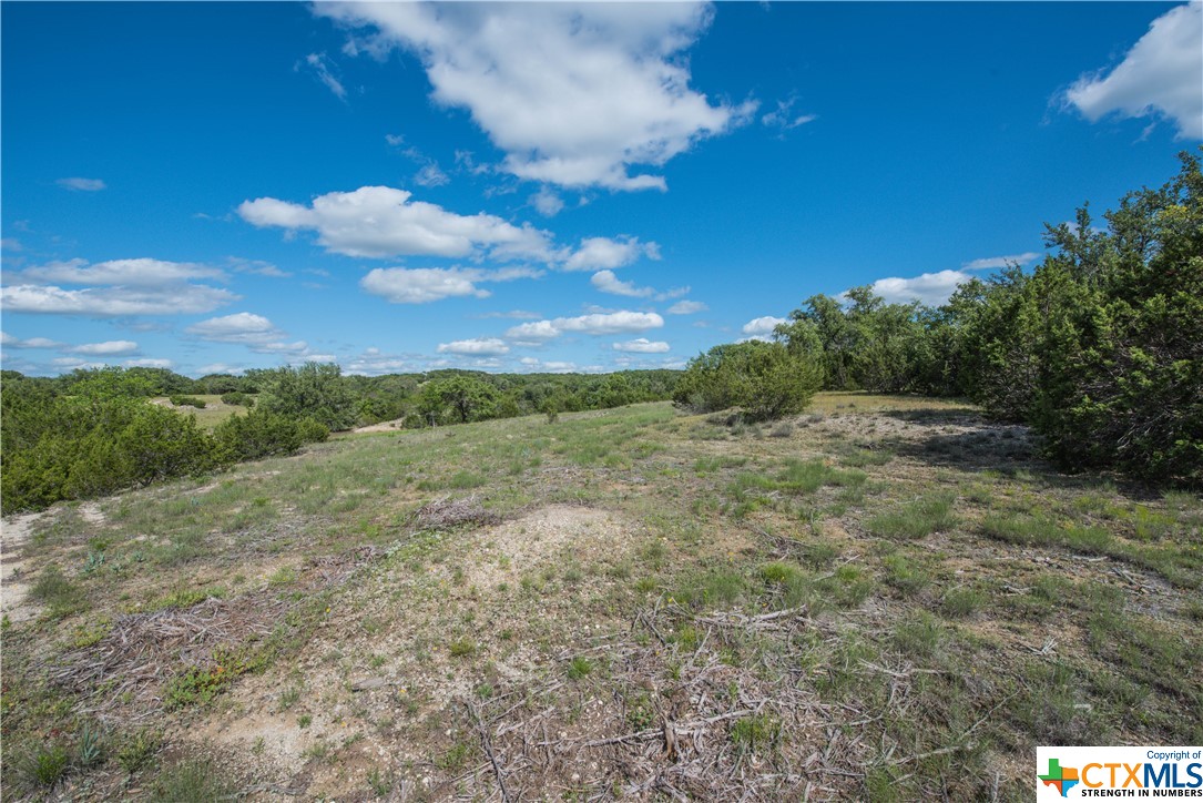 TBD County Road 1120 (+/- 110 Acres), Meridian, Texas image 4