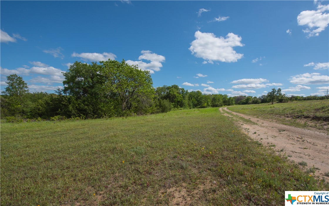 TBD County Road 1120 (+/- 110 Acres), Meridian, Texas image 8