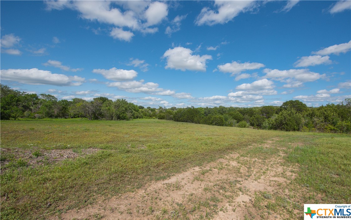 TBD County Road 1120 (+/- 110 Acres), Meridian, Texas image 9