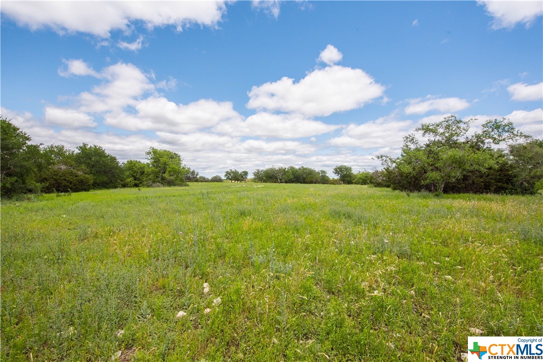 TBD County Road 1120 (+/- 380 Acres), Meridian, Texas image 10