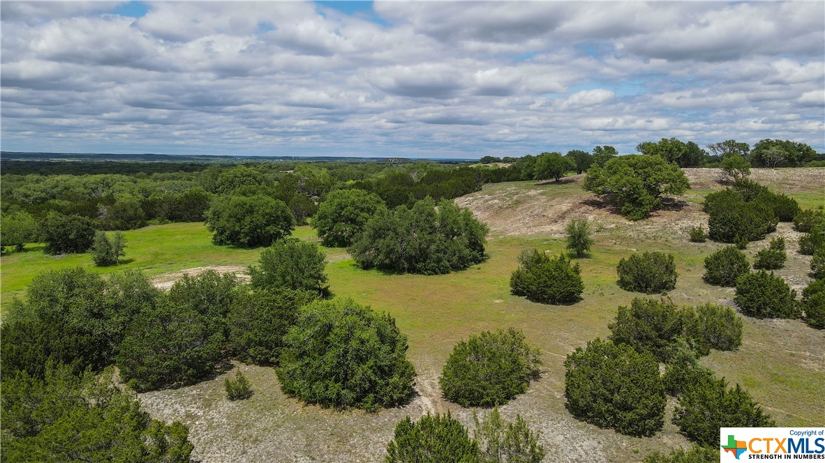 TBD County Road 1120 (+/- 380 Acres), Meridian, Texas image 4