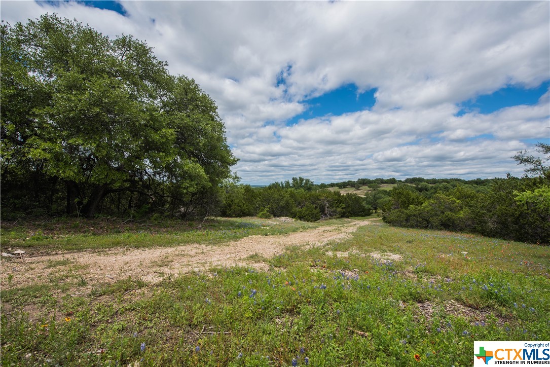 TBD County Road 1120 (+/- 380 Acres), Meridian, Texas image 6