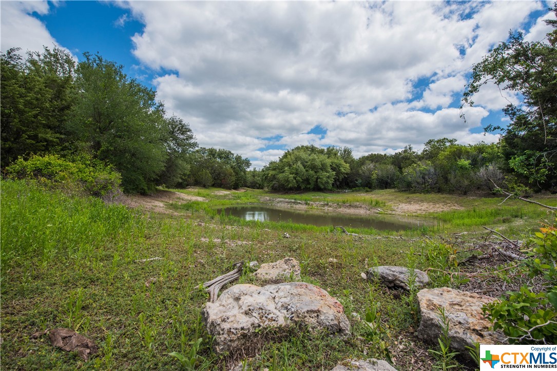 TBD County Road 1120 (+/- 380 Acres), Meridian, Texas image 8
