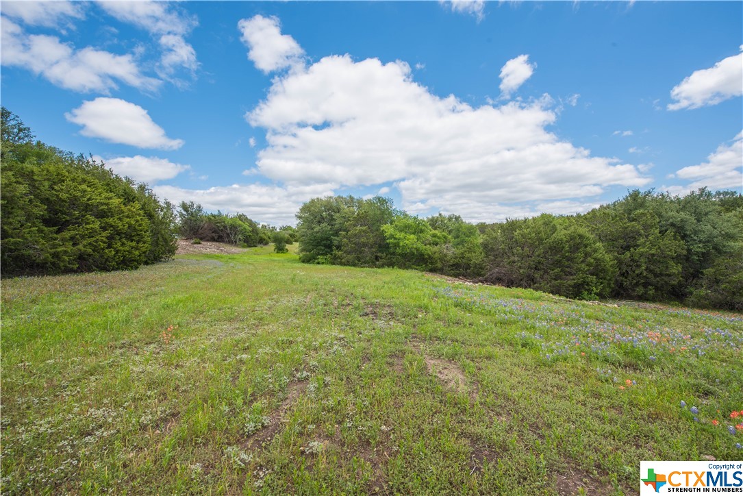 TBD County Road 1120 (+/- 380 Acres), Meridian, Texas image 9