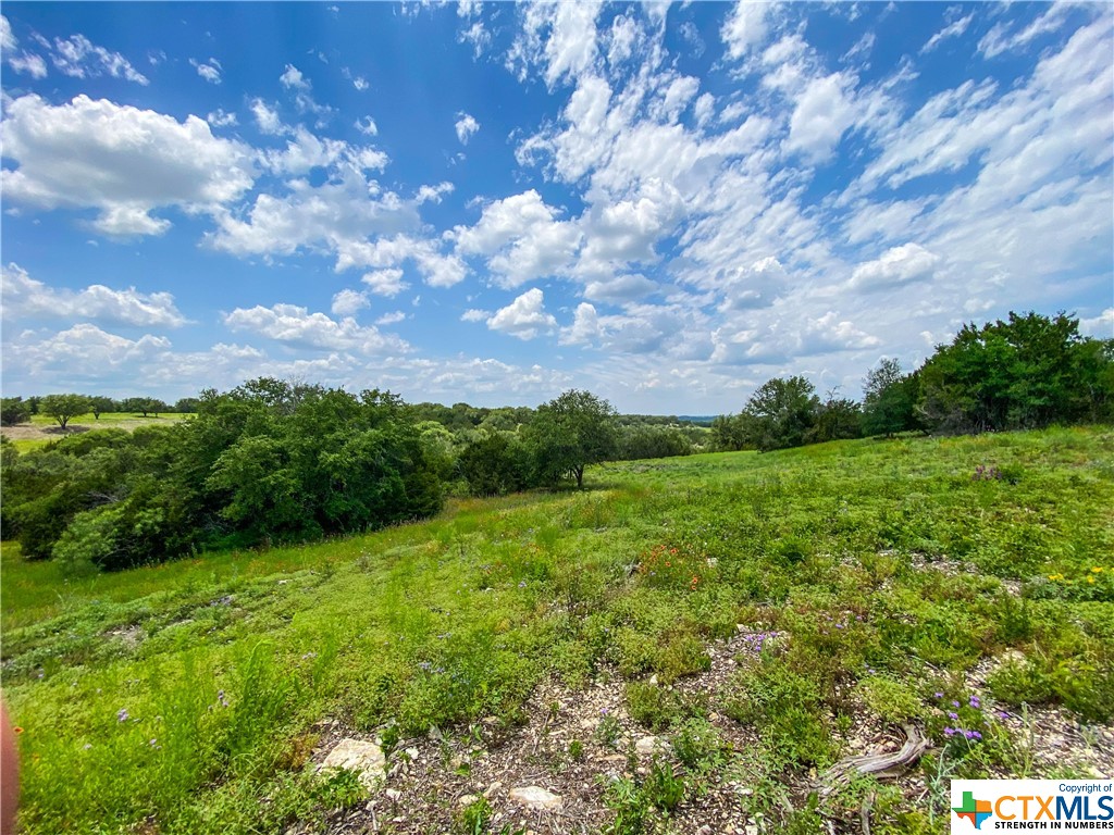 TBD County Road 1120 (+/-1112 Acres), Meridian, Texas image 13