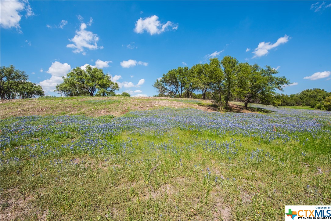 TBD County Road 1120 (+/-1112 Acres), Meridian, Texas image 3