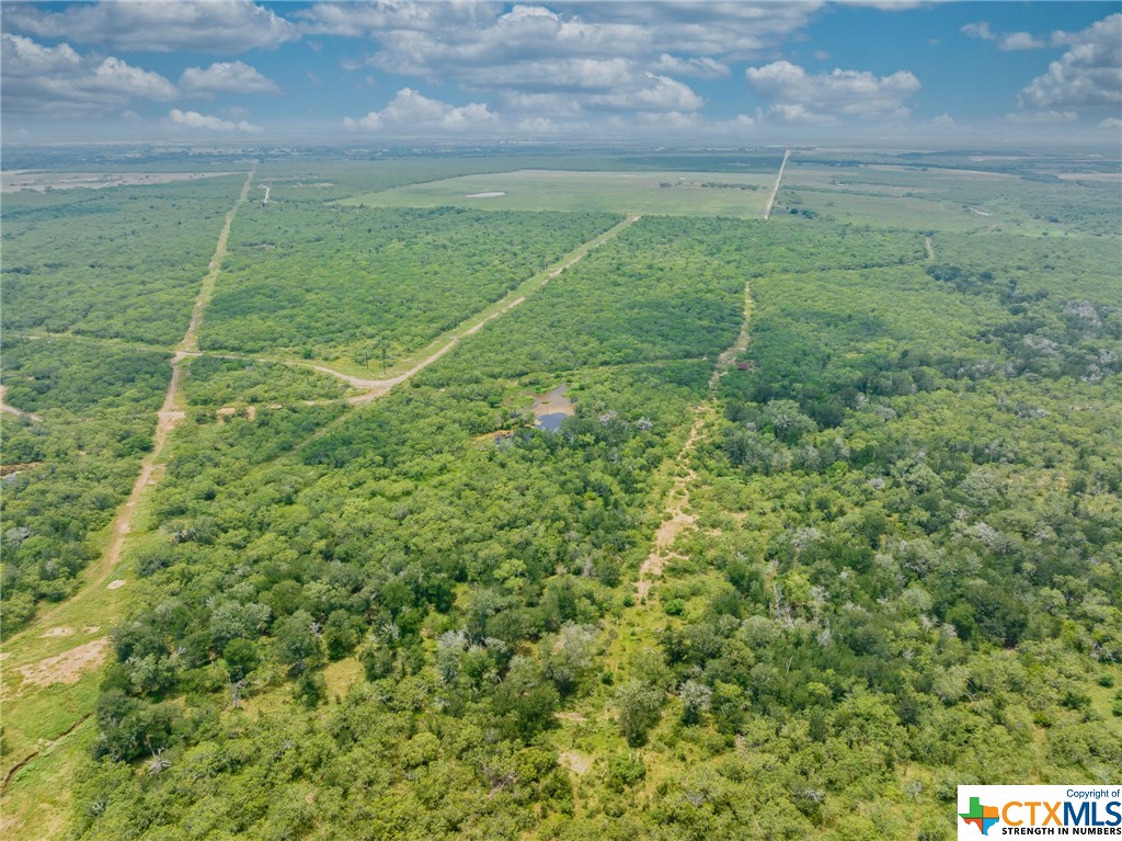 TBD County Rd 180, Smiley, Texas image 17