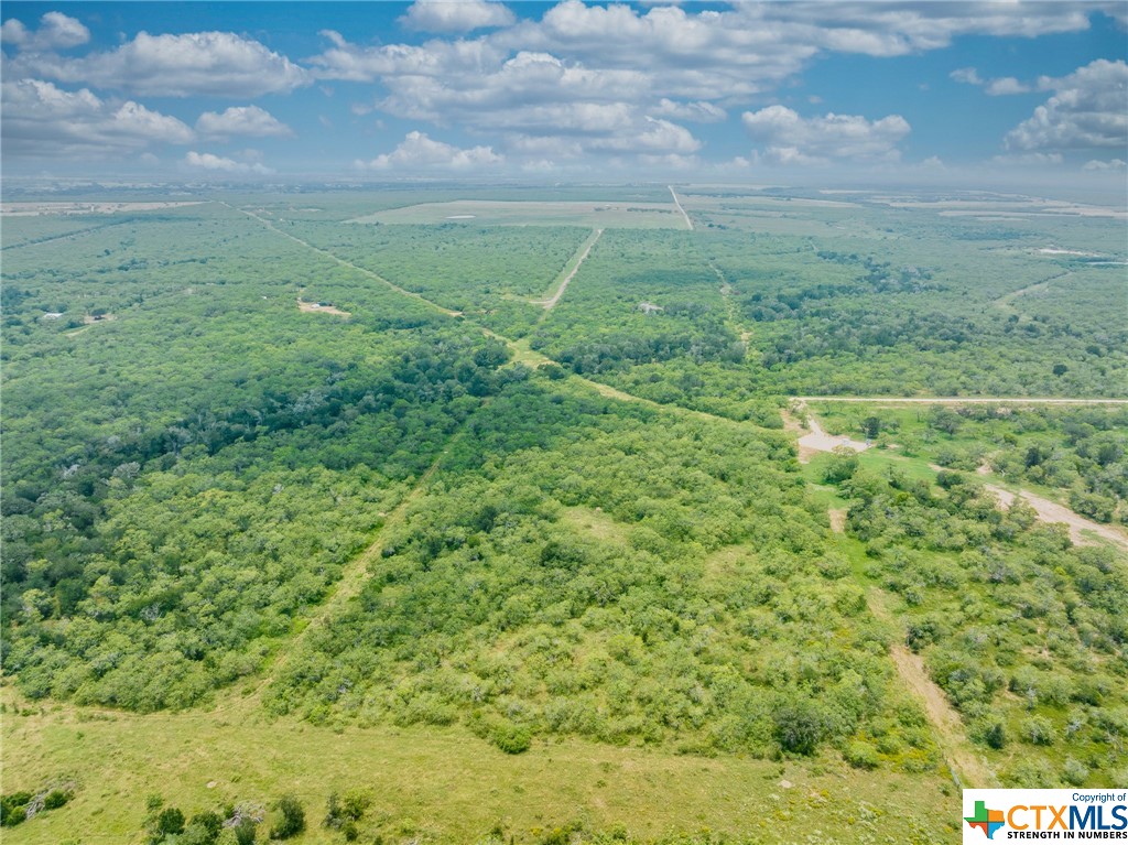 TBD County Rd 180, Smiley, Texas image 9