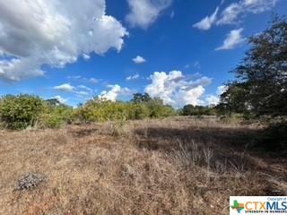 Quiet country living! Beautiful area to build your dream home. Conveniently located close to Nixon, TX. 
Owner is selling 2-2ac tracts and 1-4 acre tract.