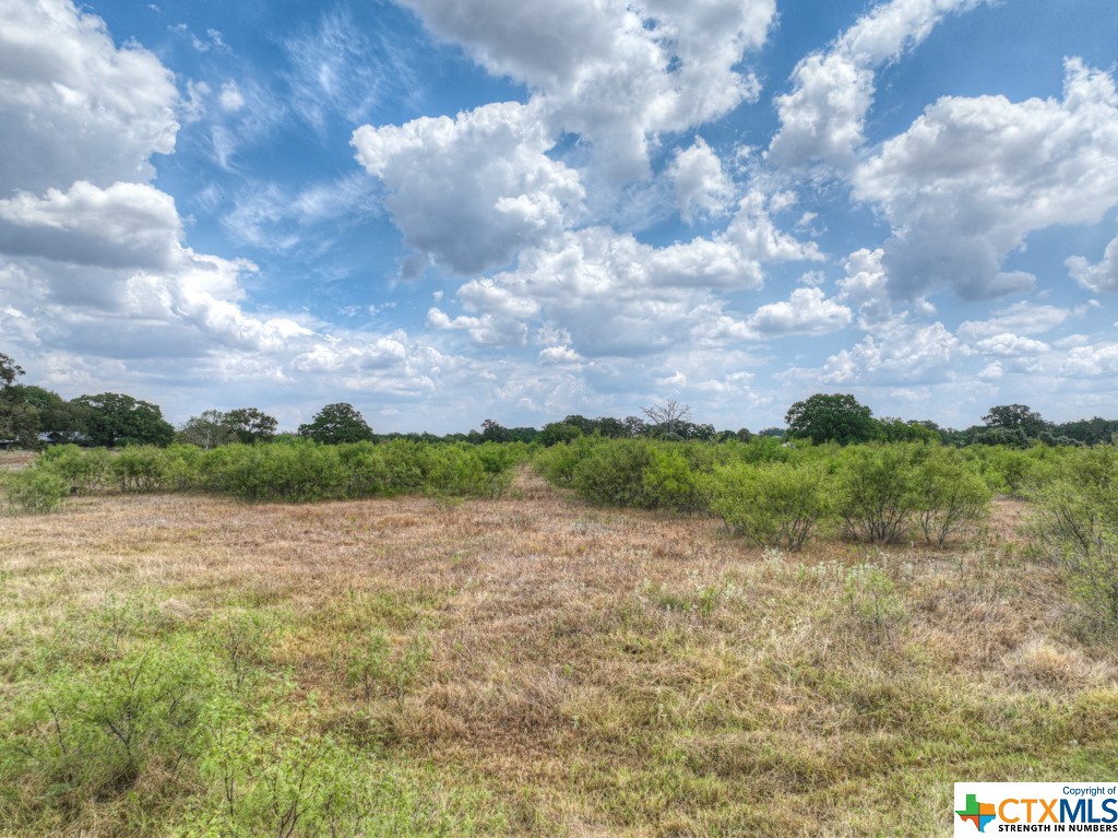 701 Old Colony Line Road, Dale, Texas image 25