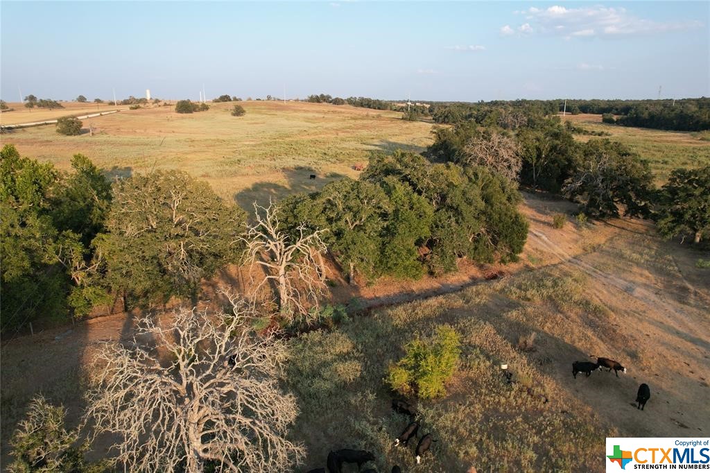 1768 County Road 449, Thorndale, Texas image 36