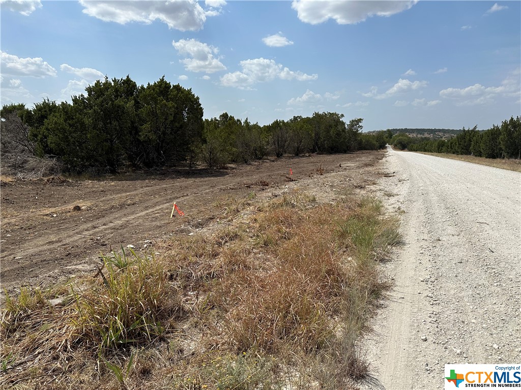 Tract 2 County Road 155, Evant, Texas image 5