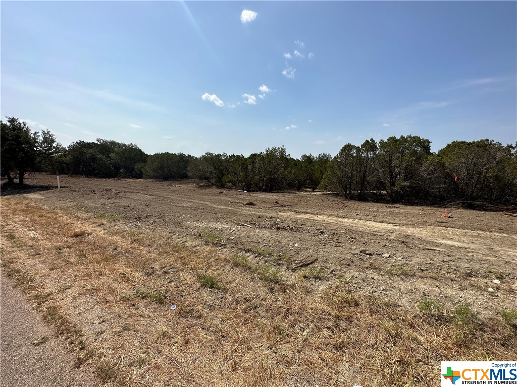 Tract 5 County Road 154, Evant, Texas image 12