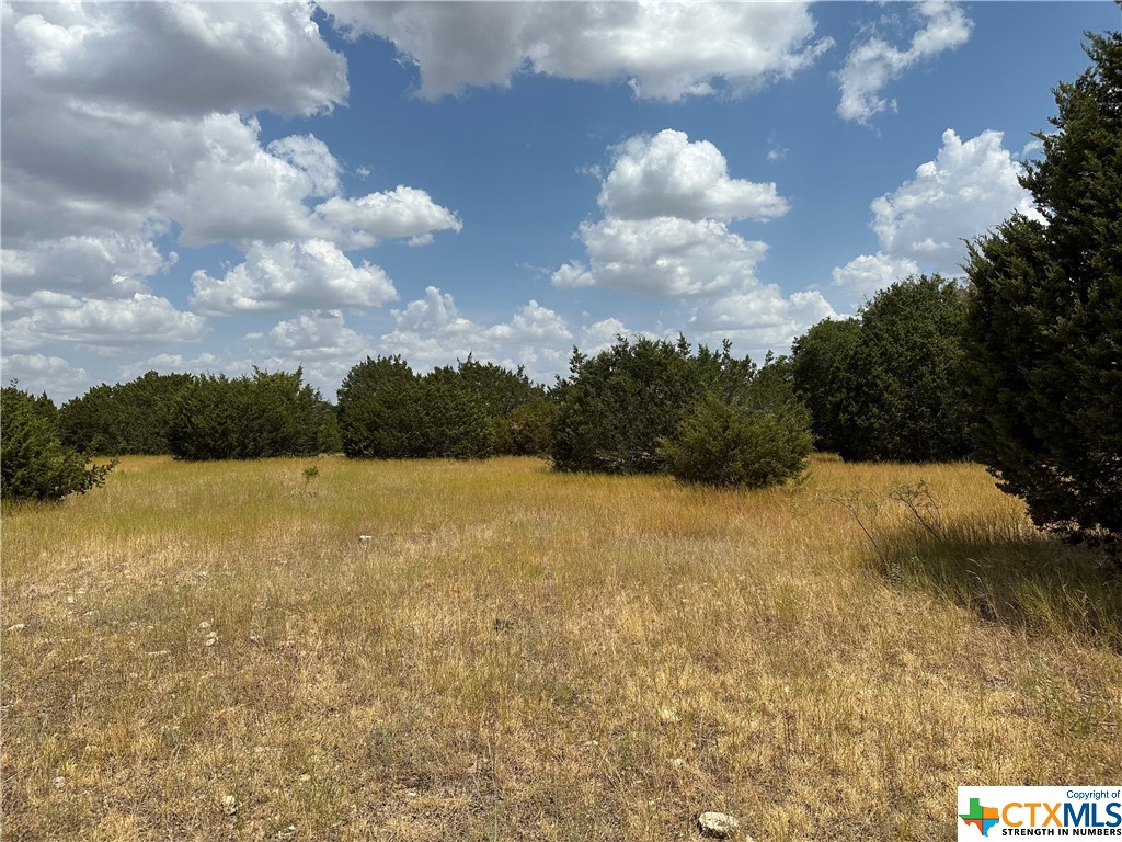 Tract 5 County Road 154, Evant, Texas image 6