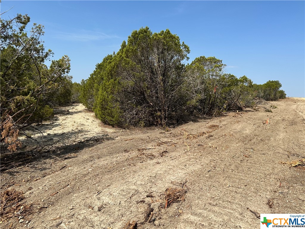 Tract 6 County Road 154, Evant, Texas image 6