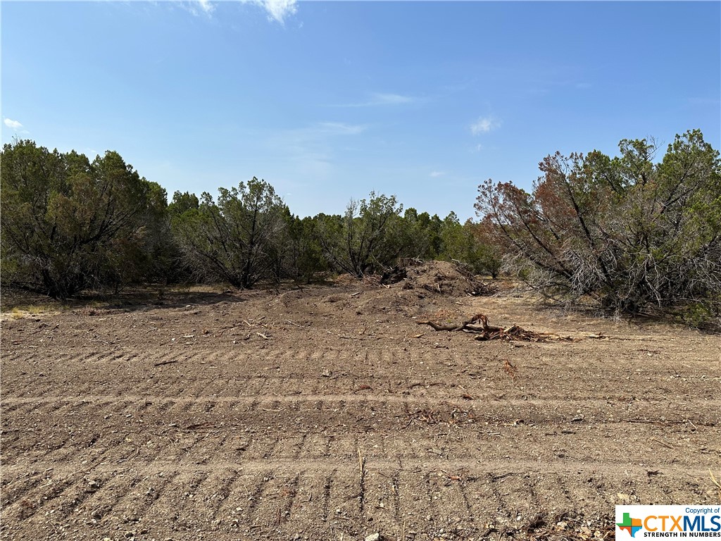 Tract 6 County Road 154, Evant, Texas image 8