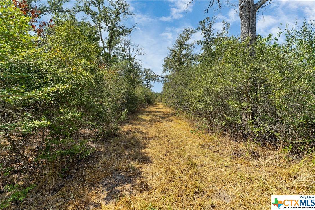 8429 Us Highway 90a, Gonzales, Texas image 36
