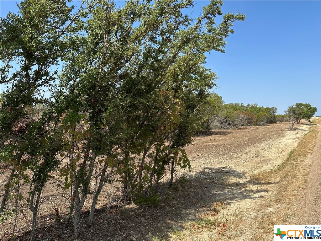 Tract 7 County Road 154, Evant, Texas image 10