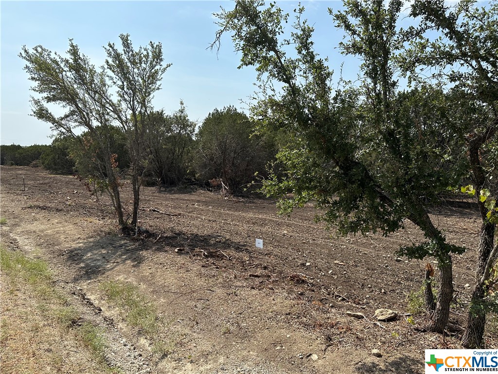 Tract 7 County Road 154, Evant, Texas image 11