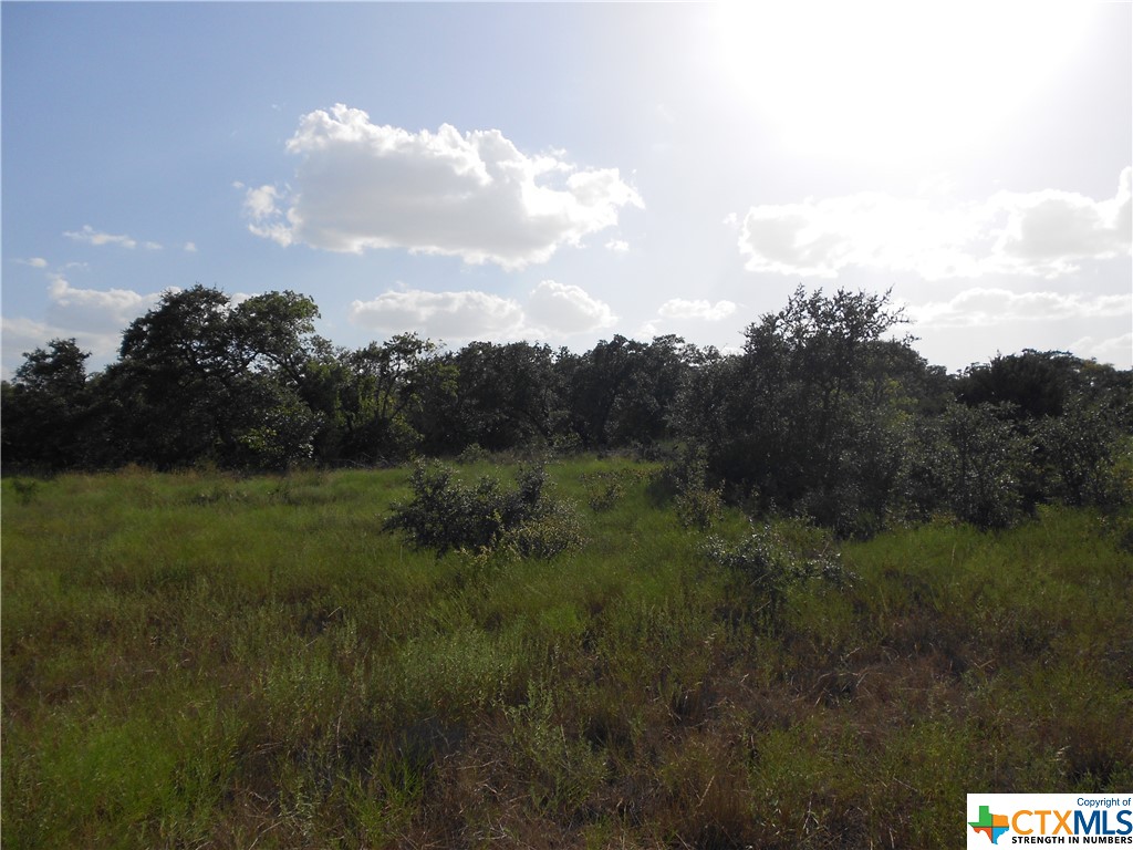 Nice property for a get away from the big city.  Native range land with moderate trees and is in Ag Exemption for the lower taxes.  Pretty much flat rangeland with barbed wire fencing on three sides.