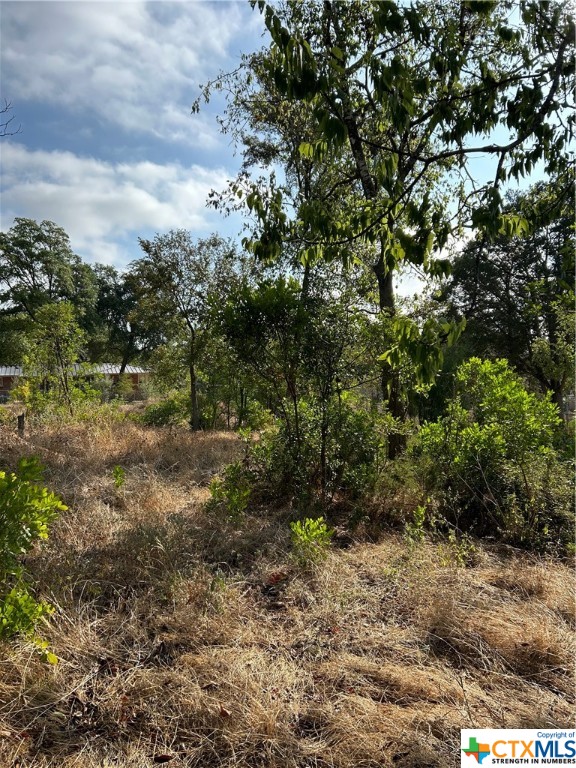 Do you want to build and become a landlord or just build your personalized home on a large, wooded lot? Then this is for you! This location is convenient to many of the wonderful places in New Braunfels.