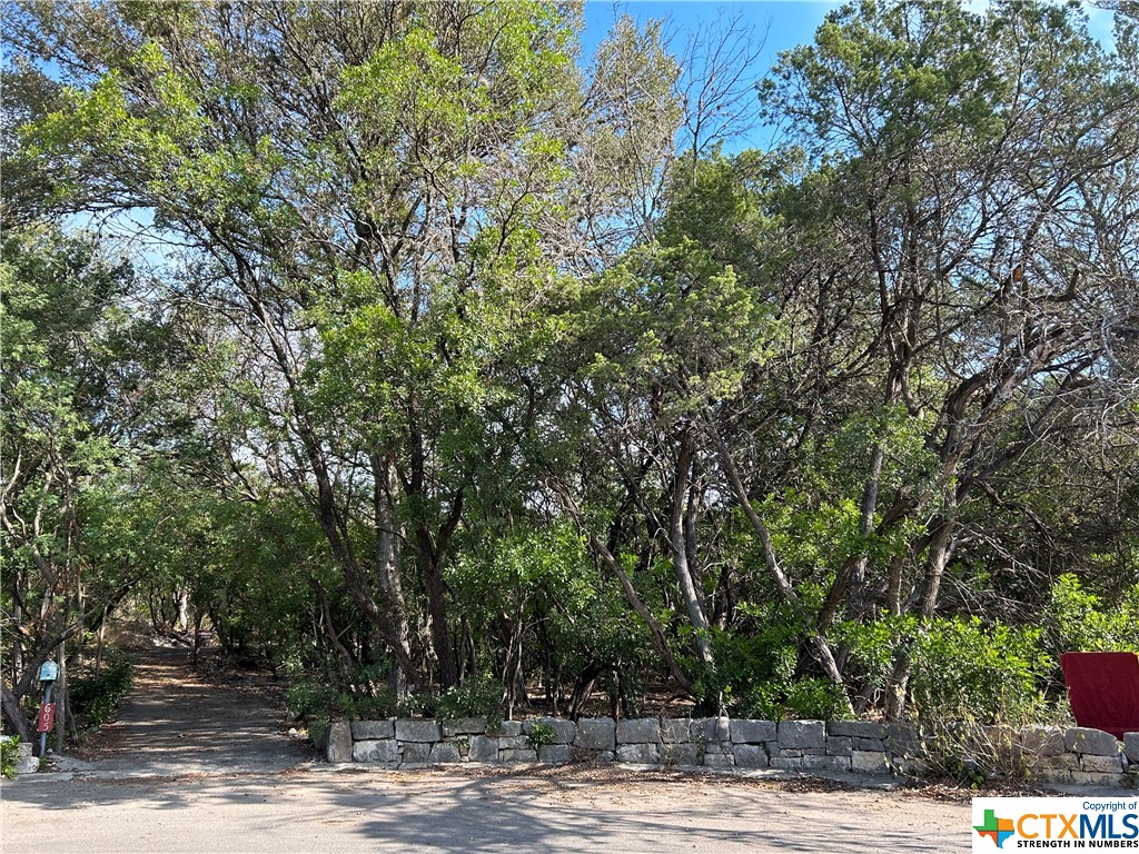 Do you want to build and become a landlord or just build your personalized home on a large wooded lot? Then this is for you! This location is convenient to many of the wonderful places in New Braunfels.