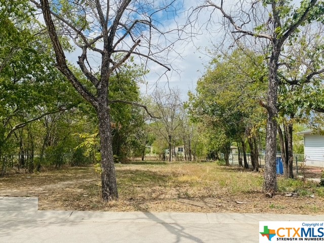 Don't miss this opportunity to build your dream home on this beautiful residential lot on a private street with no through traffic. Great location a mile from Texas Lutheran University and within walking distance to Park West. You'll appreciate the convenience of being in close proximity to parks, shopping, dining, and downtown Seguin. 50 X 97 or 4,852.58 sqft.  Mature trees and a new fence along one side. Come see it today!