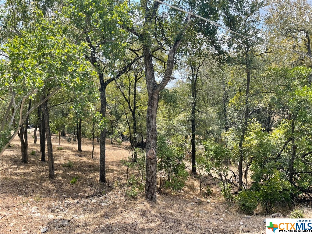 This heavily-treed lot is located in a wonderful, established neighborhood in the center of San Marcos.
Property taxes are unkown since this tract has to be broken from the adjacent residential- ask listing agent.