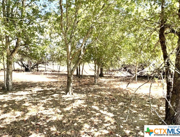 Beautiful, peaceful 13.53 acre home site. Electricity available. No restrictions. Highly sought after La Vernia schools. Established area, many surrounding property owners have been on this road for several years. Mature trees and abundance of wildlife. Minerals convey! Existing CAN#03460000000401 for entire property