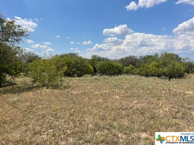 Highly sought after 10.01 Acres in peaceful setting. County road frontage. Property includes a water meter and electric is available. Close to town and easy commute. Very minimal deed restrictions. Existing CAN# 00420000000300 for entire property.