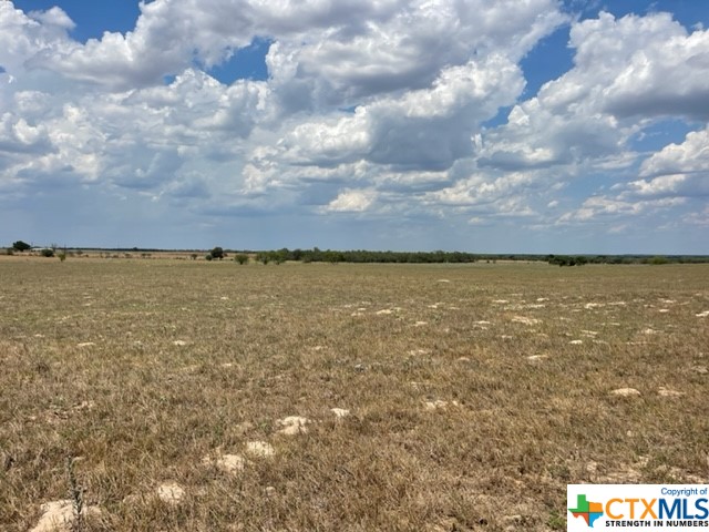 Highly sought after 10.01 Acres in peaceful setting. County road frontage. Property includes a water meter and electric is available. Close to town and easy commute. Very minimal deed restrictions. Existing CAN# 00420000000300 for entire property.