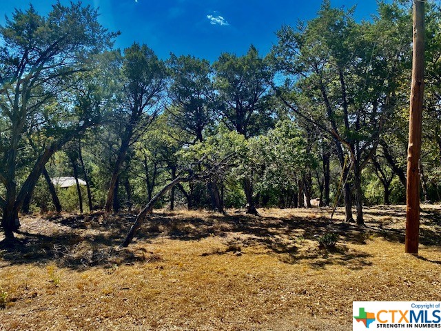 Find peace and tranquility on this 1/4 acre+ lot that backs up to a greenbelt and boasts close proximity to the Wimberley square with deeded access to the neighborhood river park. Please keep in mind that the adjacent Lot 16 can be purchased together with this lot, which would total over a 1/2 acre.