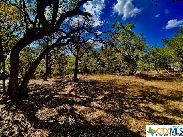 Find peace and tranquility on this 1/4 acre+ lot that backs up to a greenbelt and boasts close proximity to the Wimberley square with deeded access to the neighborhood river park. Please keep in mind that the adjacent Lot 15 can be purchased together with this lot, which would total over a 1/2 acre.