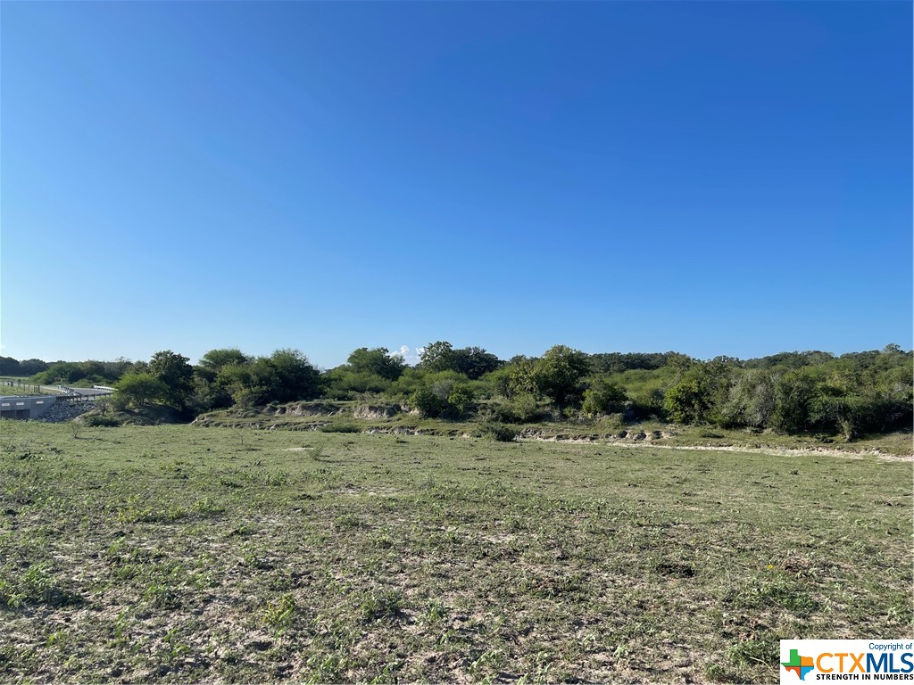 This 30 acre property is an ideal opportunity for a weekend getaway, a future homesite or a potential farm for livestock.   Property is just a short drive from Historic Goliad and less than a 30 minute drive to Victoria.  Property  boasts land on both sides of a seasonal creek with heavily wooded areas featuring mature oak trees scattered throughout.  Enjoy diverse wildlife, perfect for nature enthusiasts and hunters. Property has no restrictions!