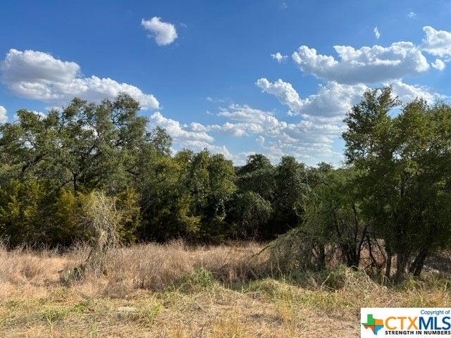 Chose this wooded 1,32 acres to get away from the hustle and bustle of city life. great build site.
River Chase is an acreage community between Gruene and Canyon Lake. Property owners enjoy the amenities for $200 per year. Float the Guadalupe from the 58 acre gated park with pavilion. Across FM306, there is a 38 acre park with 2 pools, lighted tennis courts, exercise room in the clubhouse and a walking path. Take the kids fishing at the bottom of the park where there is a stocked pond. Deed restrictions include 1800 sqft min. for a one story and 2200 sq ft min. for  2 story.