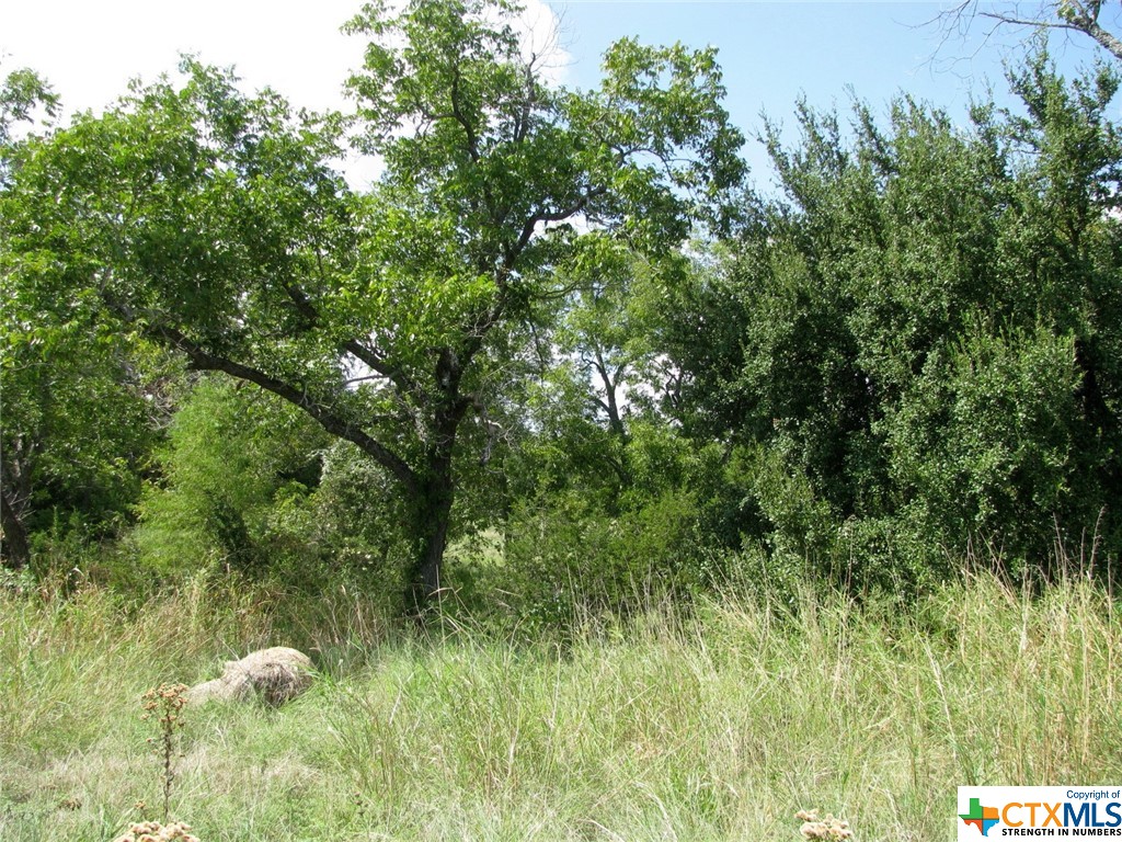 5.078 acres located just east of Gatesville, TX in Greenbriar Ranch Estates. The property is known as Lot No. 4. The property has North Greenbriar Creek running through the property. The property has good tree cover along the creek with rolling terrain. The lot is ready to build on with electricity and water at the road. The property is approx. 35 minutes from Waco, Temple & Copperas Cove, TX and approx 50 minutes to Killeen, TX
